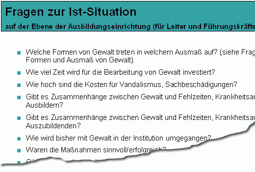 Dokument-Vorschau: Fragen zur Ist-Situation 
