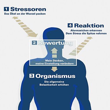 Grafik:Stressbewältigungsstrategien
