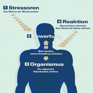 Grafik: Stressbewältigungsstrategien