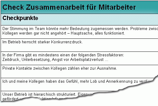 Dokument-Vorschau: Check Zusammenarbeit