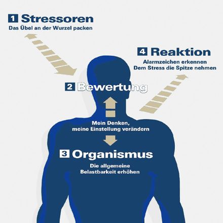 Grafik: Stressbewältigungsstrategien