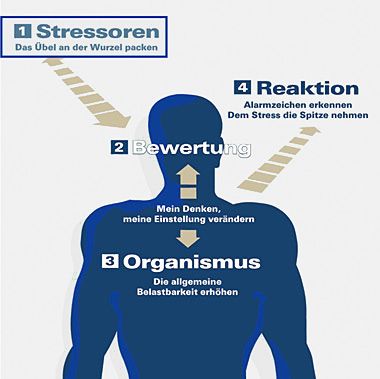 Grafik:Stressbewältigungsstrategien