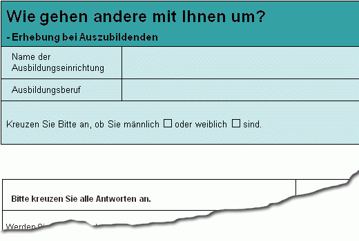 Dokument-Vorschau: Fragebogen Mobbing