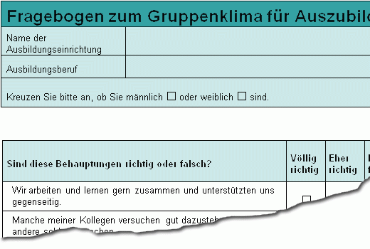 Dokument-Vorschau: Fragebogen zum Gruppenklima