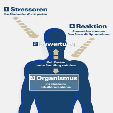 Grafik: Stressbewältigungsstrategien