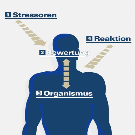 Grafik: Wie Stress entsteht