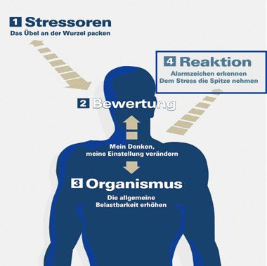 Grafik:Stressbewältigungsstrategien